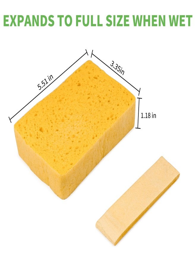 kickleen 4 Pack Compostable Thicker Pop-Up Sponges - Expanding, Non-Scratch, Plant-Based Dish Cellulose Sponges Car Wash Sponge - Image 2