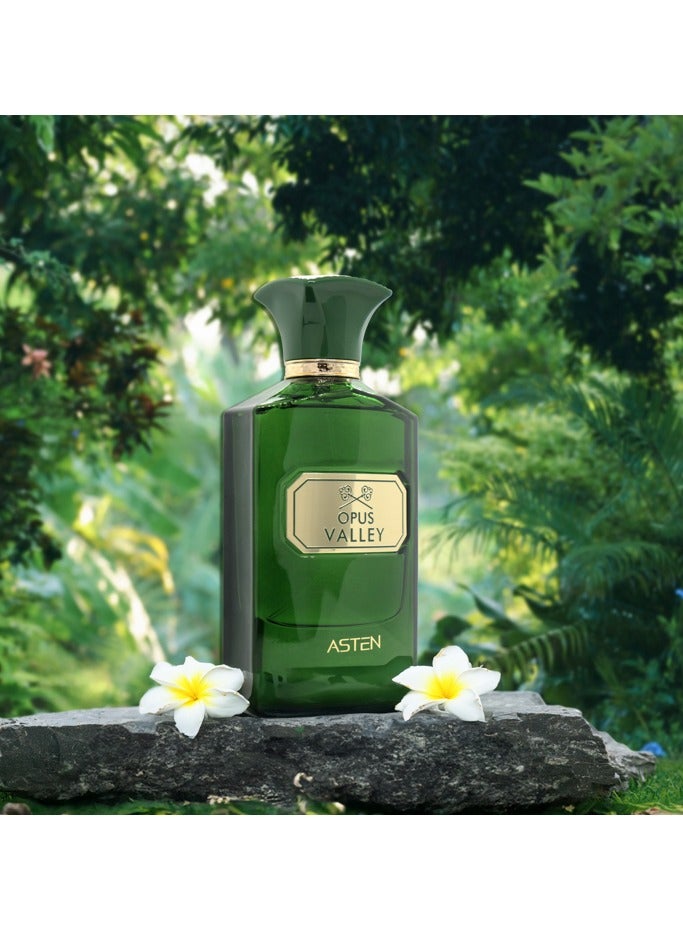 ASTEN Opus Valley - Image 2