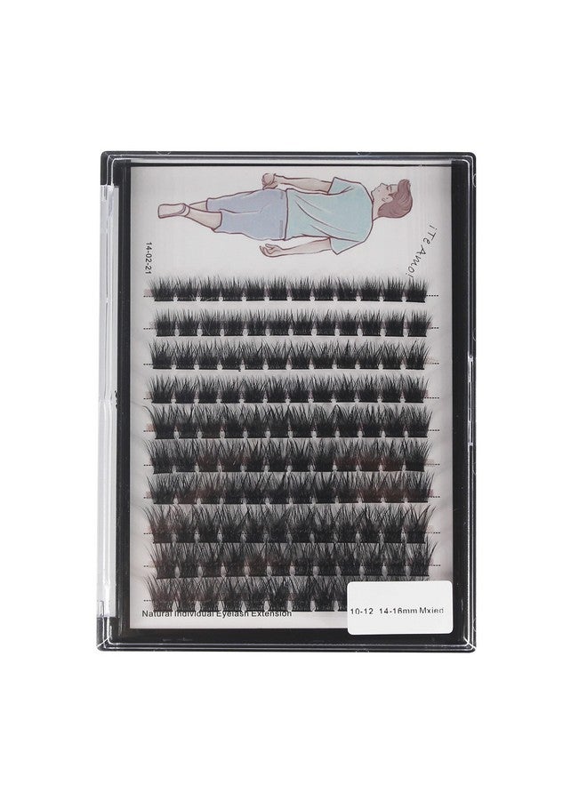 Dedila 120 Clusters Mixed 8101214Mm;10121416Mm Individual False Eyelashes Dramatic Look Wide Stem Natual Long Volume Eye Lashes Extensions Beauty Tools (Mixed 10121416Mm) - Image 2
