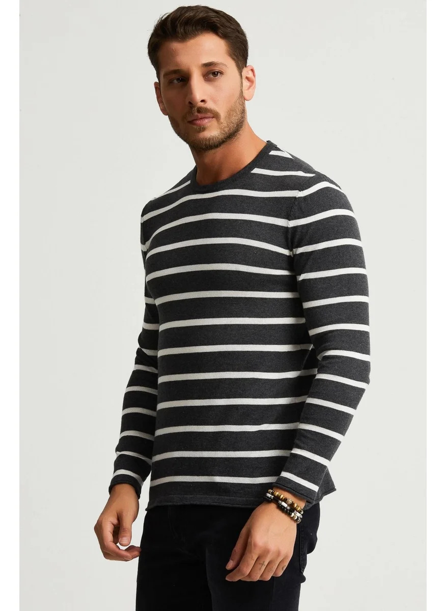 الكسندر جاردي Striped Sweater (E22-5710)