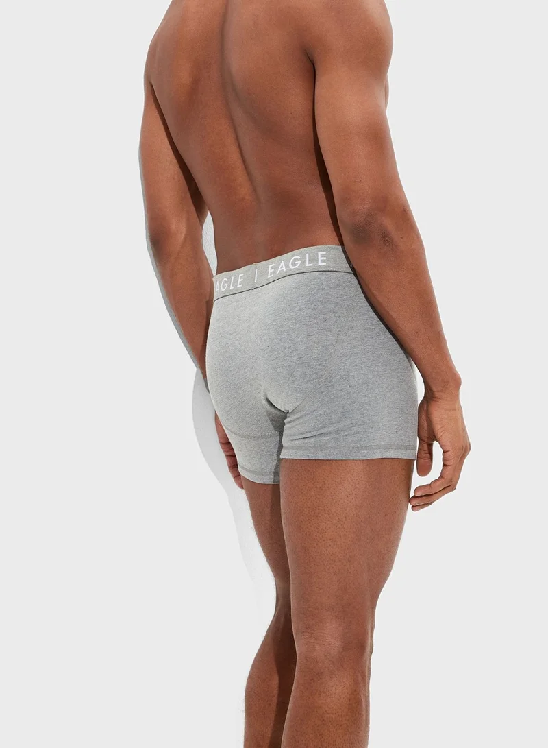 American Eagle Logo Band Trunks