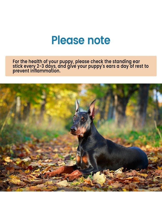 دائرة مربعة مجموعة دعامات آذان دوبرمان - أداة دعم قائمة مع شريط لاصق لآذان كلاب بينشر - Image 5