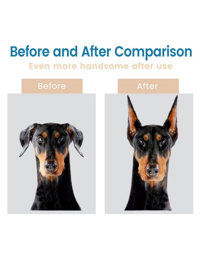 دائرة مربعة مجموعة دعامات آذان دوبرمان - أداة دعم قائمة مع شريط لاصق لآذان كلاب بينشر - Image 4