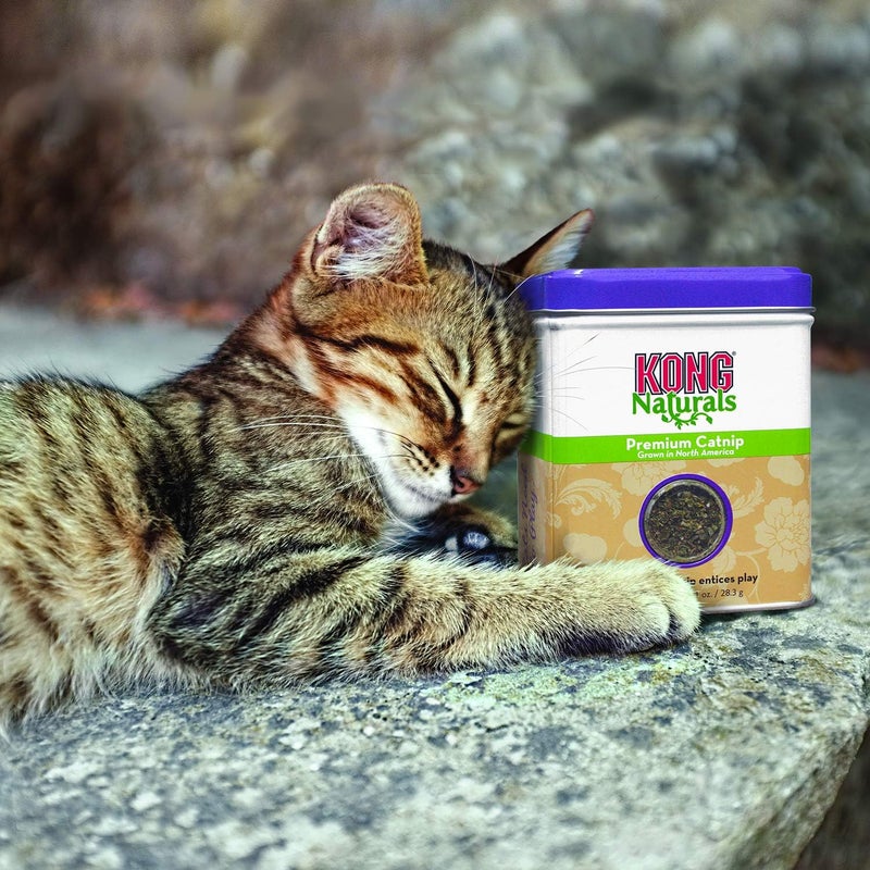 KONG Naturals Premium Catnip - 2 oz Resealable Tin for Cats - Image 2