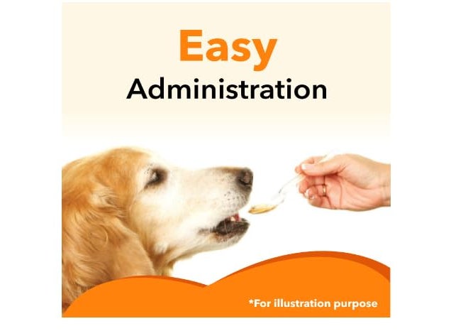 Drools Absolute Salmon Oil Syrup - Dog Supplement, 150 ml - Image 4