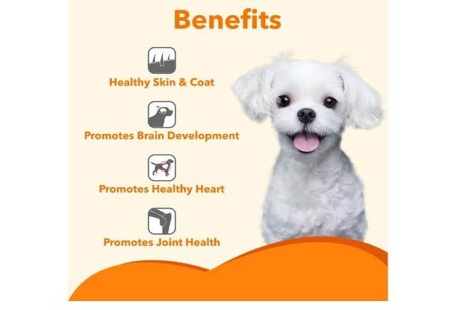 Drools Absolute Salmon Oil Syrup - Dog Supplement, 150 ml - Image 3