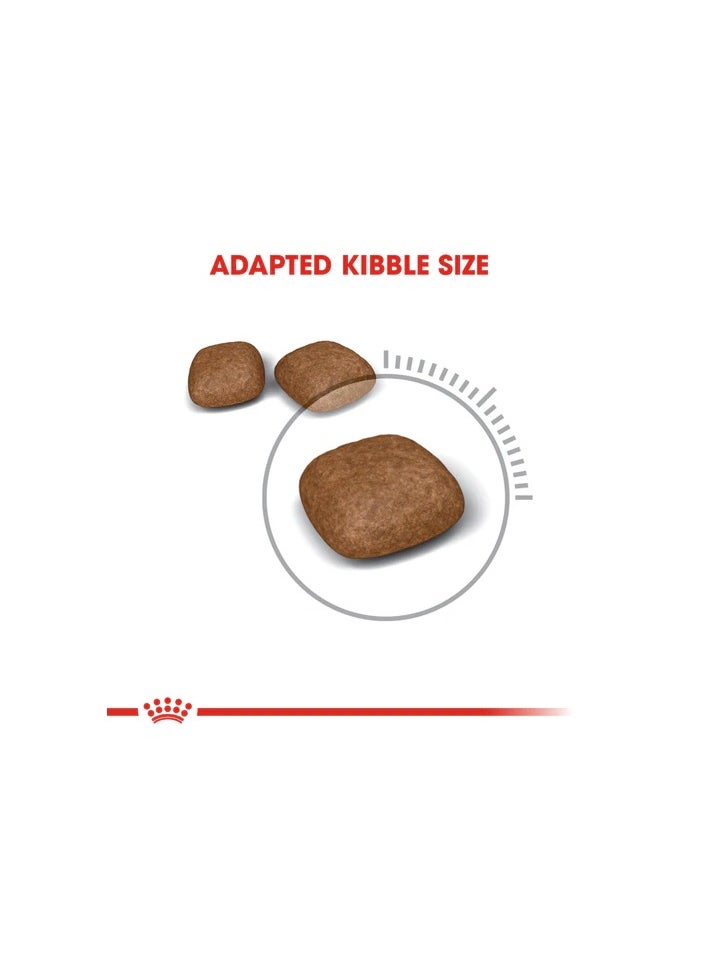 ROYAL CANIN Royal Canin Urinary care (4kg)- Dry food for adult cats - Helps maintain urinary tract health  - Image 4