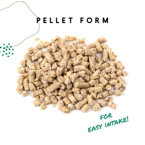 Manna Pro Layer Pellets Chicken Feed, 16% Protein Complete Feed for Laying Hens with Probiotics for Digestive Health, Nutrient-Rich Chicken Food Pellets for Egg Production, Made in USA, 8 lb Bag - Image 4