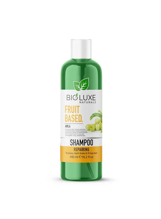 Bioluxe Naturals Fruit Based Repairing 480ml