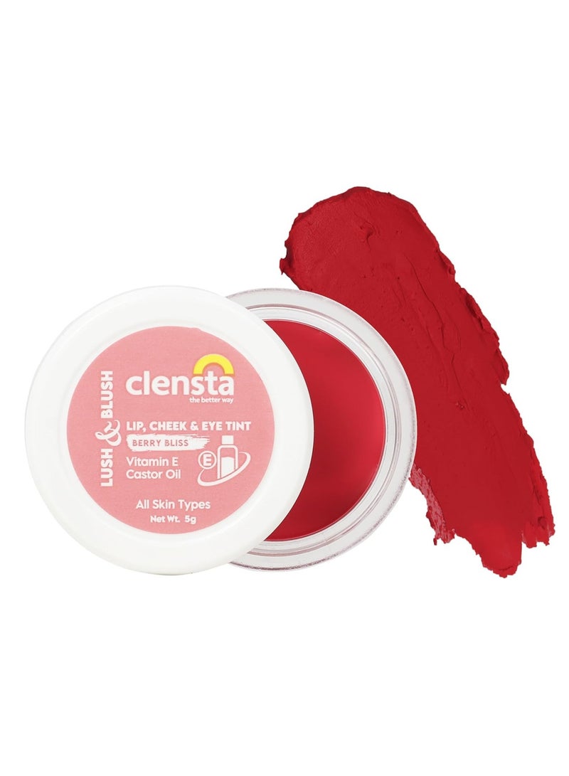 Clensta Lip Cheek Tint Berry Bliss, with Goodness of Vitamin E Castor Oil 5G - Image 1