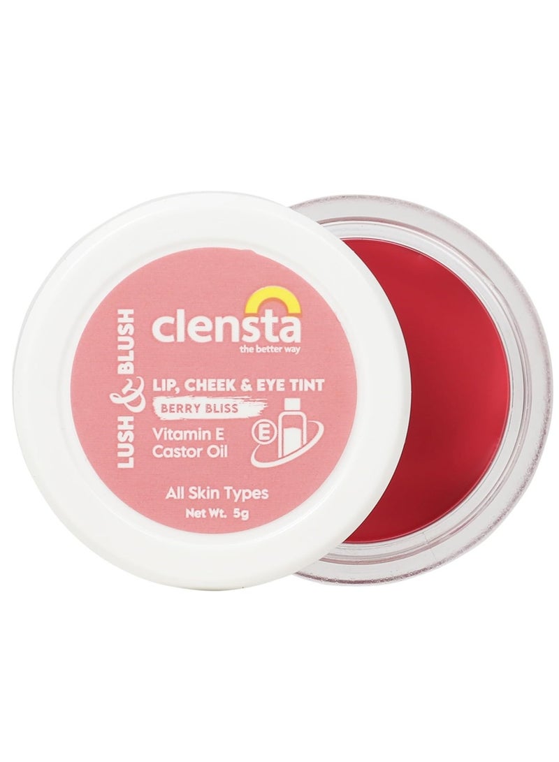 Clensta Lip Cheek Tint Berry Bliss, with Goodness of Vitamin E Castor Oil 5G - Image 2