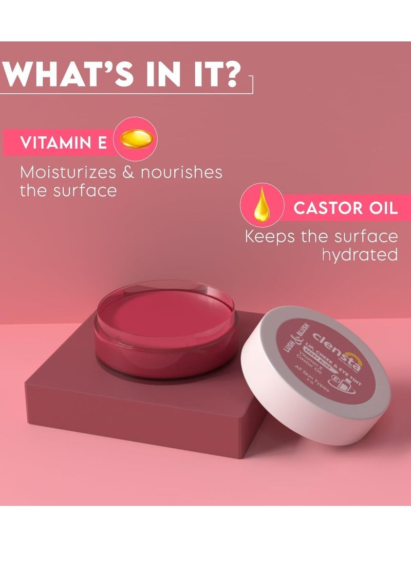 Clensta Lip Cheek Tint Berry Bliss, with Goodness of Vitamin E Castor Oil 5G - Image 4