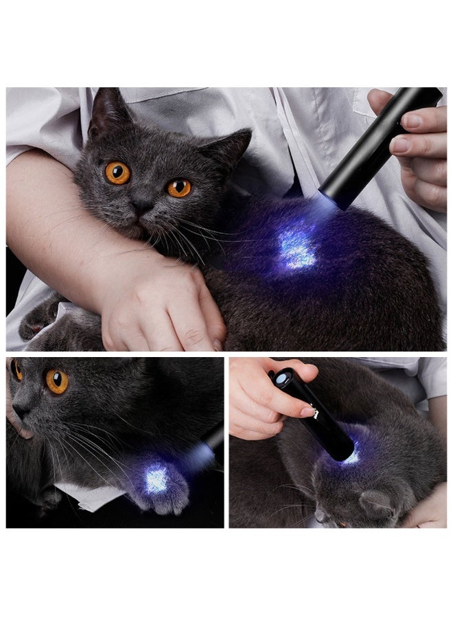 مصباح يدوي أسود للأشعة فوق البنفسجية 365 نانومتر متعدد الوظائف لمصادقة العملات المعدنية للكشف عن بول الحيوانات الأليفة واختبار عامل الفلورسنت - Image 3