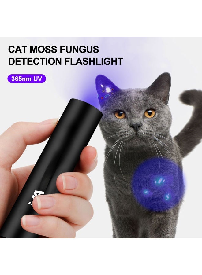 مصباح يدوي أسود للأشعة فوق البنفسجية 365 نانومتر متعدد الوظائف لمصادقة العملات المعدنية للكشف عن بول الحيوانات الأليفة واختبار عامل الفلورسنت - Image 2