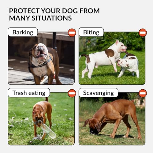 CollarDirect Leather Basket Dog Muzzle for Boxer, English American Bulldog Secure Anti-Barking Biting Chewing Adjustable Breathable (Brown) - Image 4
