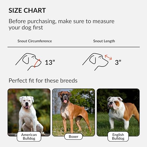 CollarDirect Leather Basket Dog Muzzle for Boxer, English American Bulldog Secure Anti-Barking Biting Chewing Adjustable Breathable (Brown) - Image 2