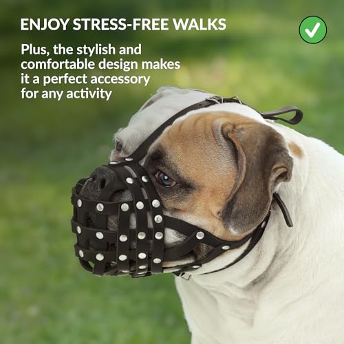 CollarDirect Leather Basket Dog Muzzle for Boxer, English American Bulldog Secure Anti-Barking Biting Chewing Adjustable Breathable (Brown) - Image 5