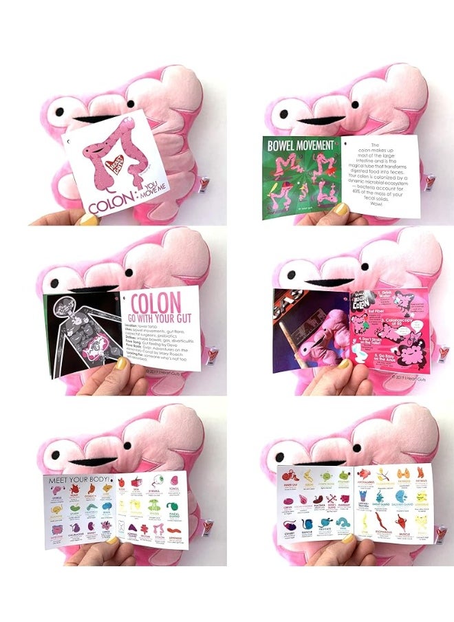 I Heart Guts Colon Plush  You Move Me  11 Colon Care Tips with Stuffed Toy