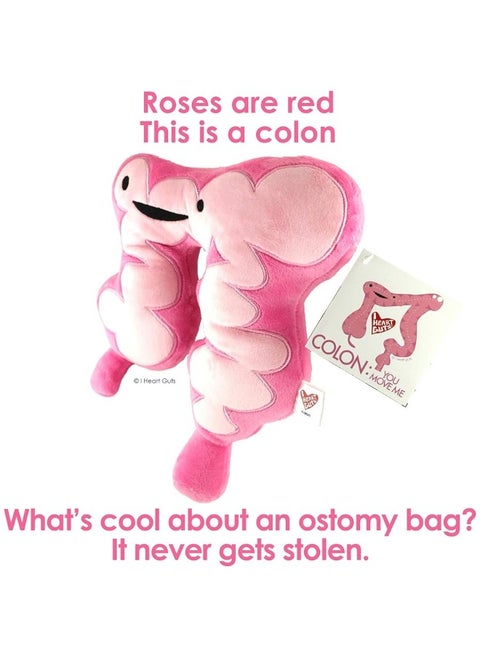 I Heart Guts Colon Plush  You Move Me  11 Colon Care Tips with Stuffed Toy