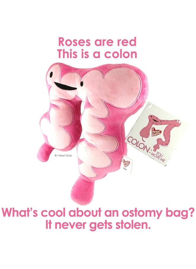 I Heart Guts Colon Plush  You Move Me  11 Colon Care Tips with Stuffed Toy