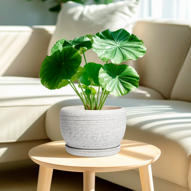 SQOWL Ceramic Plant Pots - 8 inch Planter for Indoor Plants, Round Flower Pot with Drainage Hole and Plant Saucer, Modern Decorative Ceramic Planter Outdoor, Home Room Decor, Garden Gifts, Gray - Image 2
