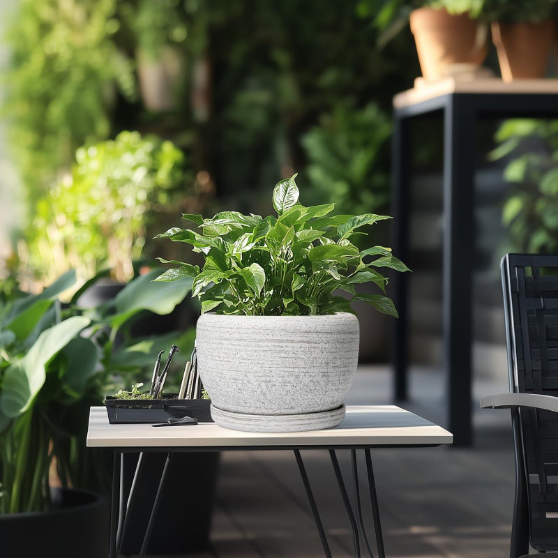 SQOWL Ceramic Plant Pots - 8 inch Planter for Indoor Plants, Round Flower Pot with Drainage Hole and Plant Saucer, Modern Decorative Ceramic Planter Outdoor, Home Room Decor, Garden Gifts, Gray - Image 5