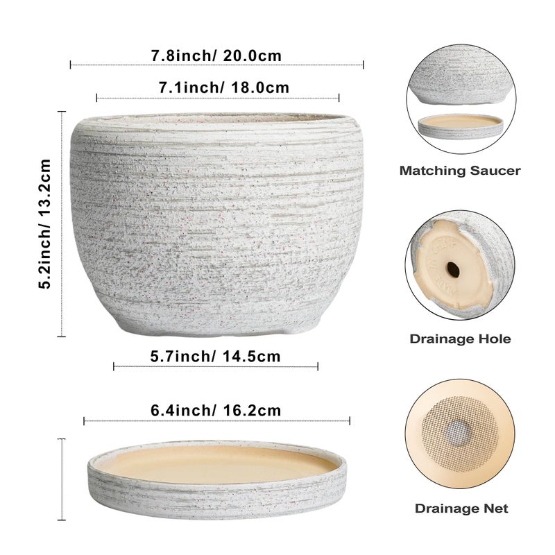SQOWL Ceramic Plant Pots - 8 inch Planter for Indoor Plants, Round Flower Pot with Drainage Hole and Plant Saucer, Modern Decorative Ceramic Planter Outdoor, Home Room Decor, Garden Gifts, Gray - Image 3