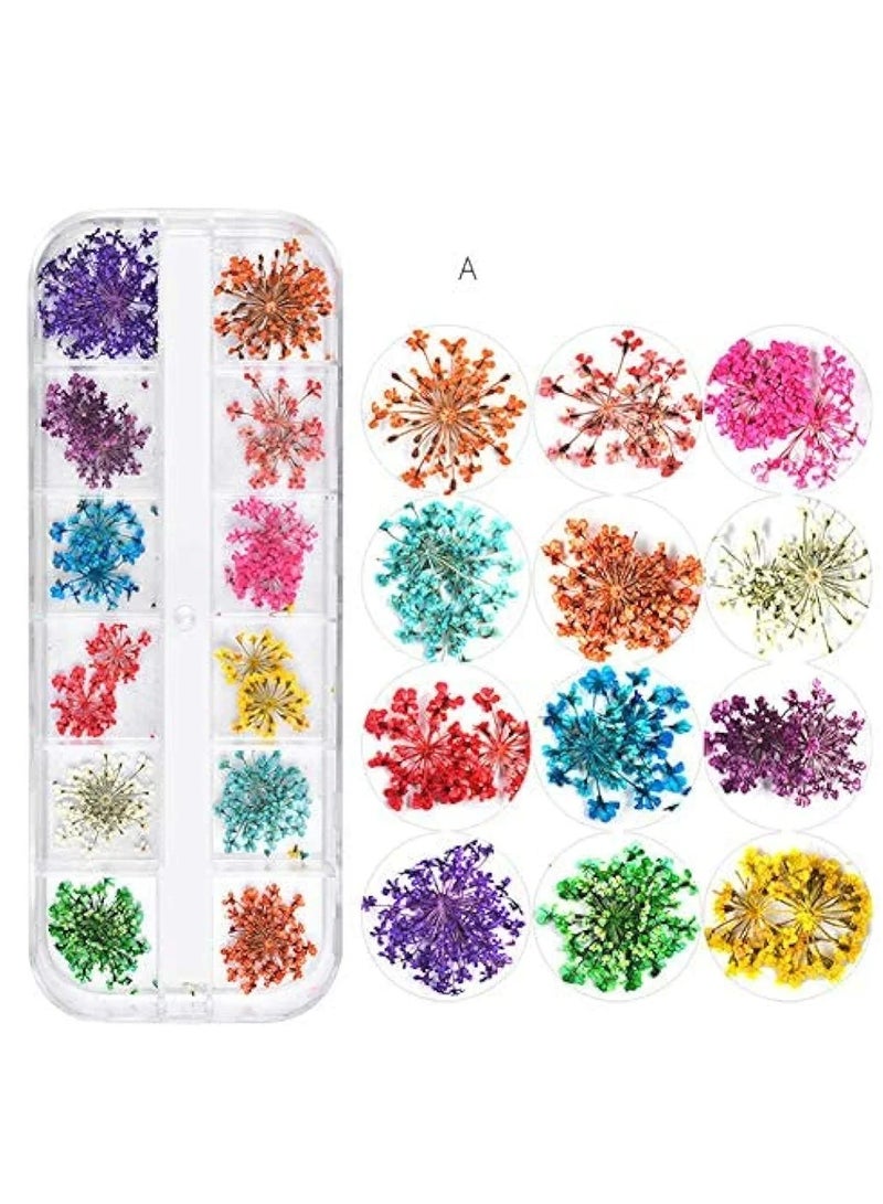 زهور جميلة بأشكال وألوان متنوعه لتزيين الأظافر على شكل زهور مجففة وملصقات تزيين أظافر ثلاثية الأبعاد - Image 1