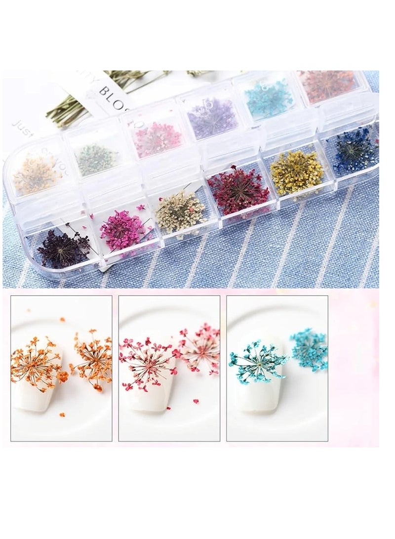 زهور جميلة بأشكال وألوان متنوعه لتزيين الأظافر على شكل زهور مجففة وملصقات تزيين أظافر ثلاثية الأبعاد - Image 3