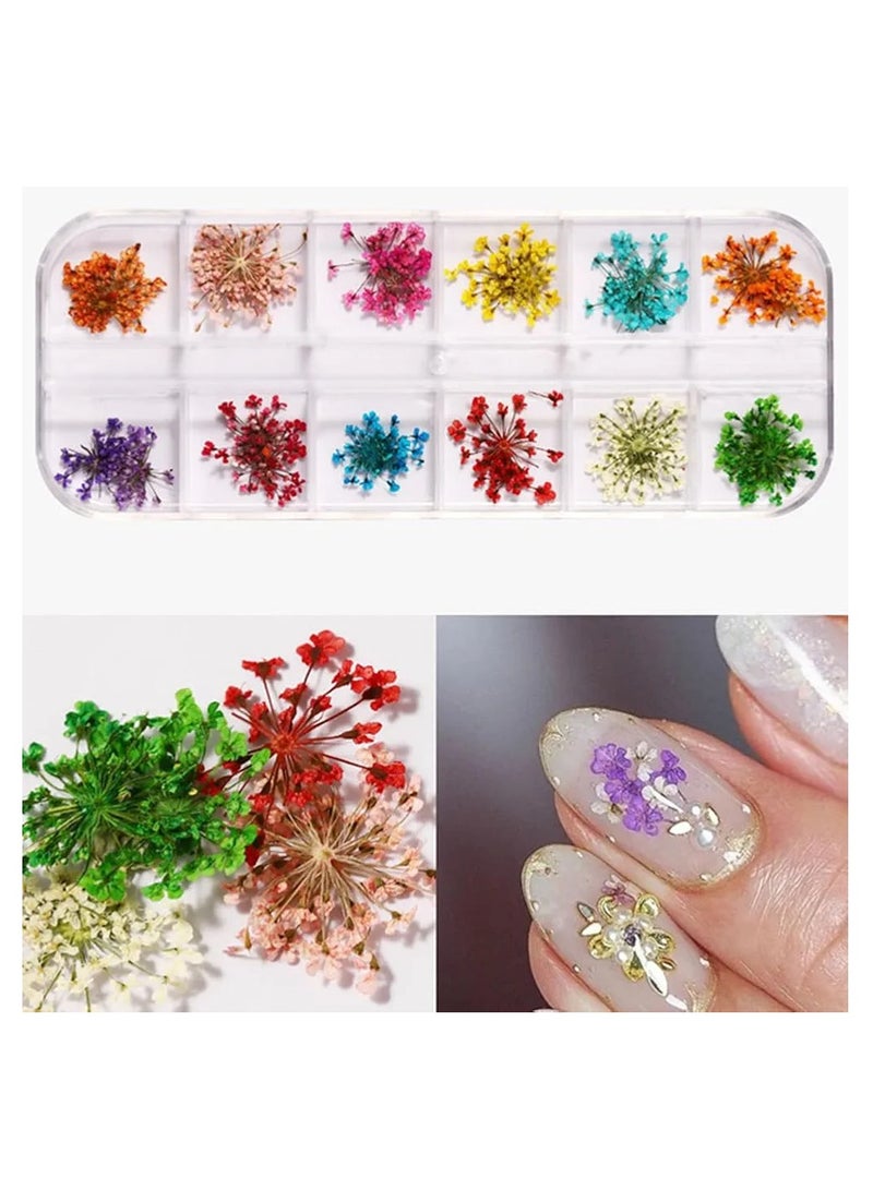 زهور جميلة بأشكال وألوان متنوعه لتزيين الأظافر على شكل زهور مجففة وملصقات تزيين أظافر ثلاثية الأبعاد - Image 5