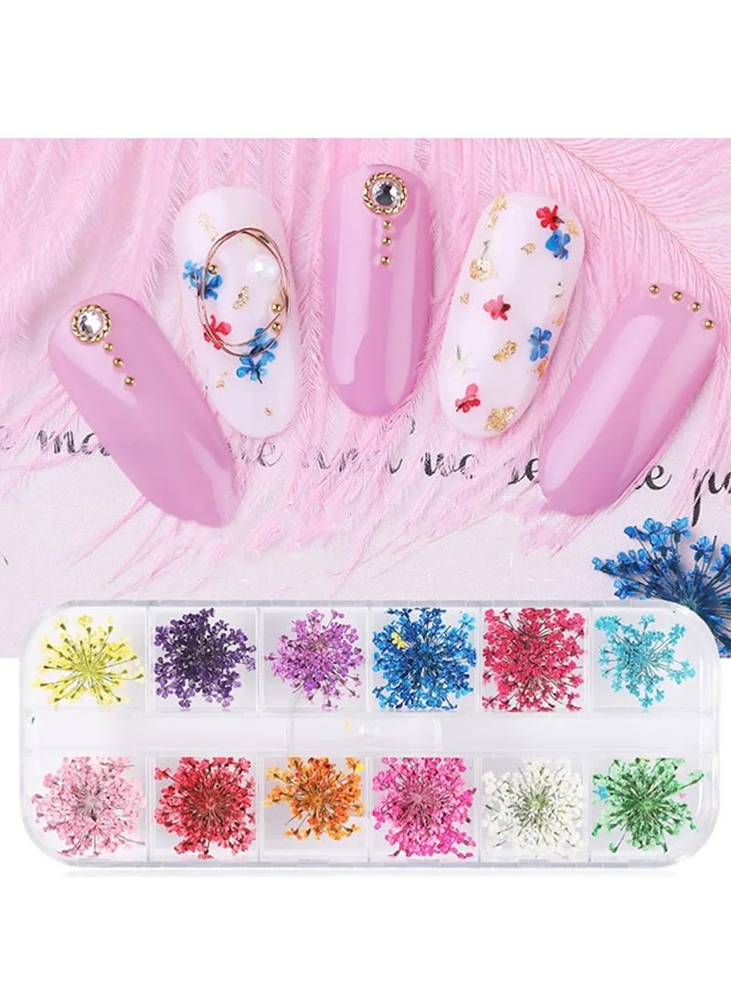 زهور جميلة بأشكال وألوان متنوعه لتزيين الأظافر على شكل زهور مجففة وملصقات تزيين أظافر ثلاثية الأبعاد - Image 4