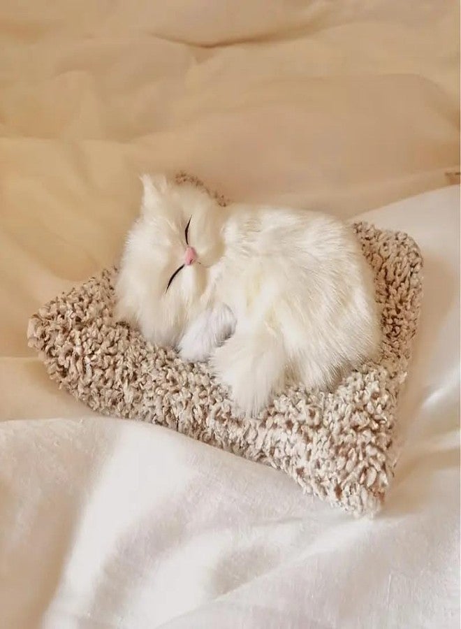 SUNBEET Cute Sleeping Cat Plush Toy with Meow Sound, Gift for Kids Car Dashboard Accessories (Pack of 1) (Multi Colour) - Image 1
