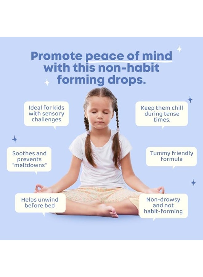 جوي سبرينج جوي سبرينغ، كالميفاي، مغنيسيوم سائل، 1 أونصة سائلة (30 مل) - Image 5