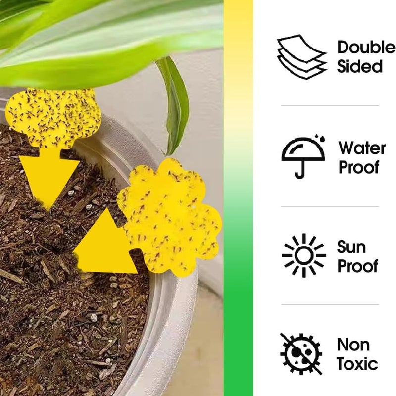 Cleanuper 58 Pcs Yellow Flying Insect Traps for Plants,Indoors, Outdoors, Kitchen, Yellow Sticky Traps for Fungus Gnat, Fly and Fruit Fly, Flying Insects, Non-Toxic & Odorless, Kid & Pet Safe, Economic Pack - Image 5