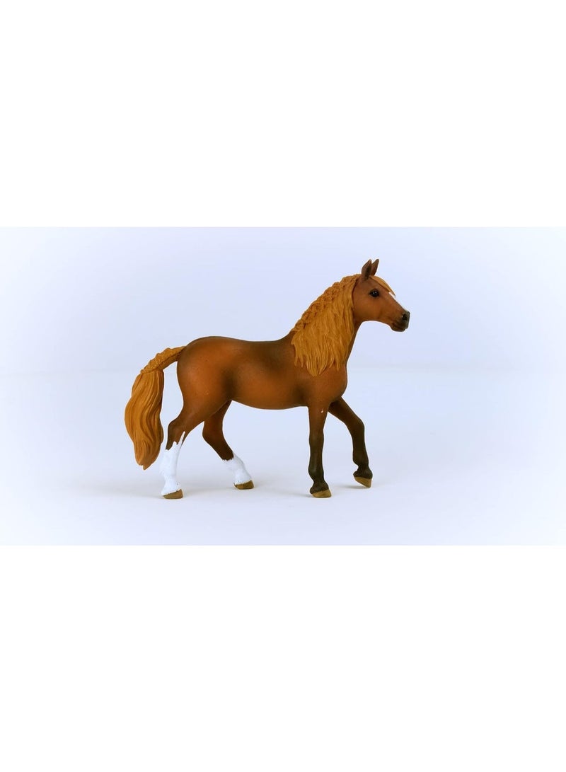 Schleich Peruvian Paso Mare 13953 - Image 3