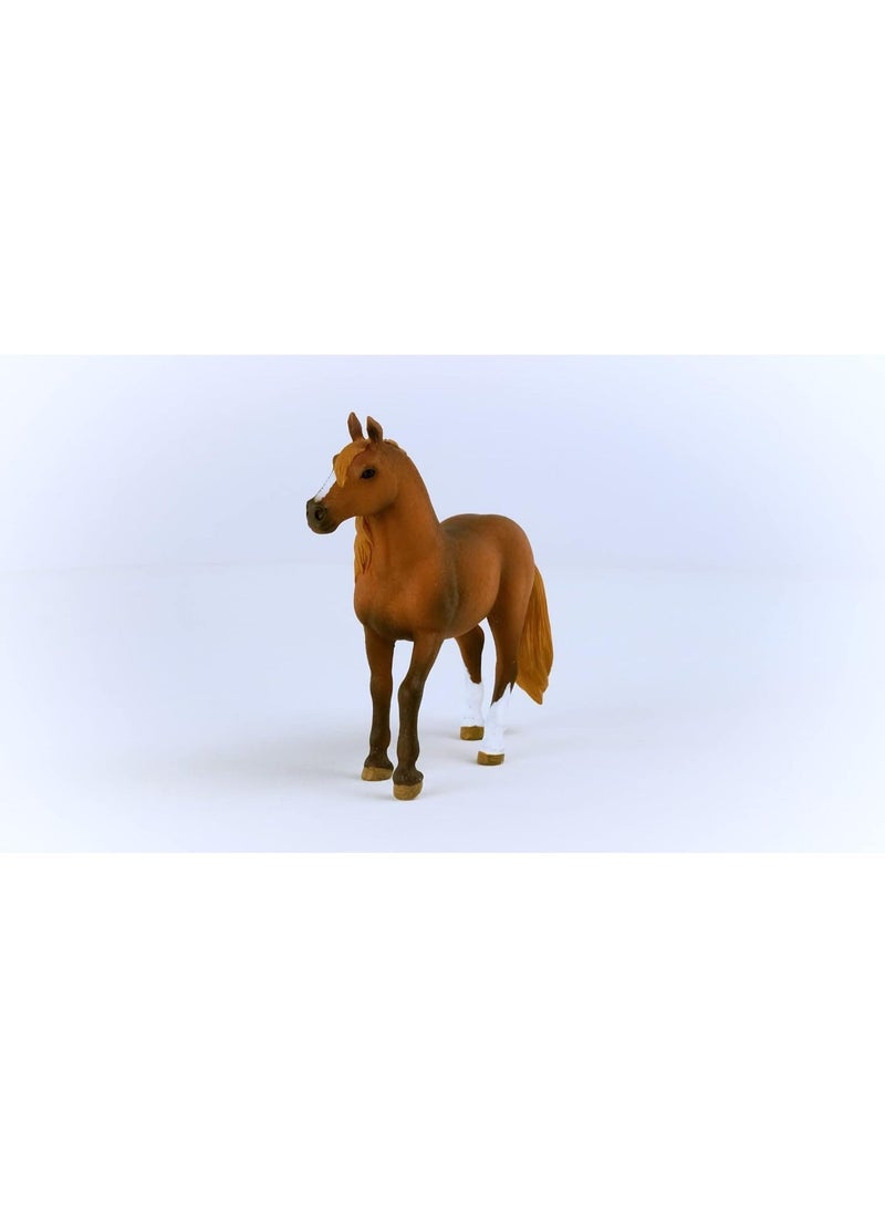 Schleich Peruvian Paso Mare 13953 - Image 5