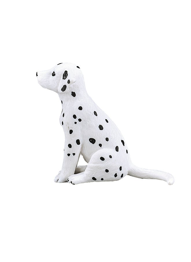 Mojo Dalmatian Puppy -S - pzsku/Z916E7CD49B30802B1962Z/45/_/1724438614/adac6546-989d-4b55-9d1c-94c382373afa