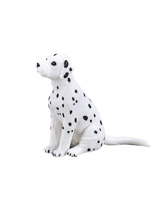 Mojo Dalmatian Puppy -S - pzsku/Z916E7CD49B30802B1962Z/45/_/1724438615/9a5586ae-fbe7-4a2b-ba34-4b920cfb4551