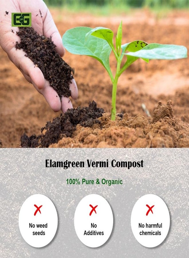 EG ELAMGREEN سماد الديدان الممتاز من إيلامغرين - محسن تربة طبيعي للنباتات الداخلية والخارجية 3 كجم - Image 3