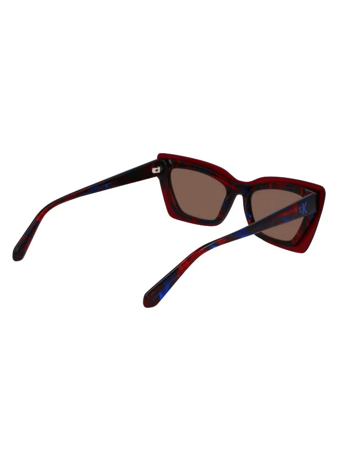 Calvin Klein Jeans  FULL RIM ACETATE CALVIN KLEIN JEANS SUN CKJ23656S  | Best Price UAE