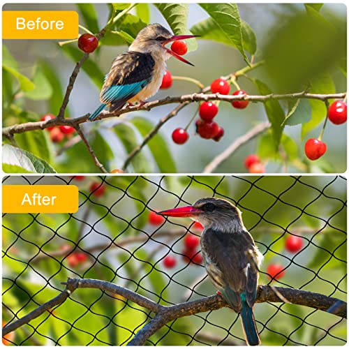 BSTPCOO Bird Netting 50'x50' with 1" Square Mesh Bird Net Garden Nettings for Chicken Coop Roof, Poultry Netting Heavy Duty Nylon Net Aviary Nettings Deer Fence Hawk nets for Chicken Run - Image 4