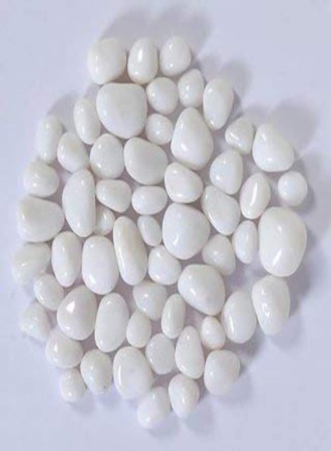 Ercole® Polished Snow White Decorative Stone Pebbles for Vase Fillers Garden & Home Decor (Polished White, 500 Grams) - Image 3