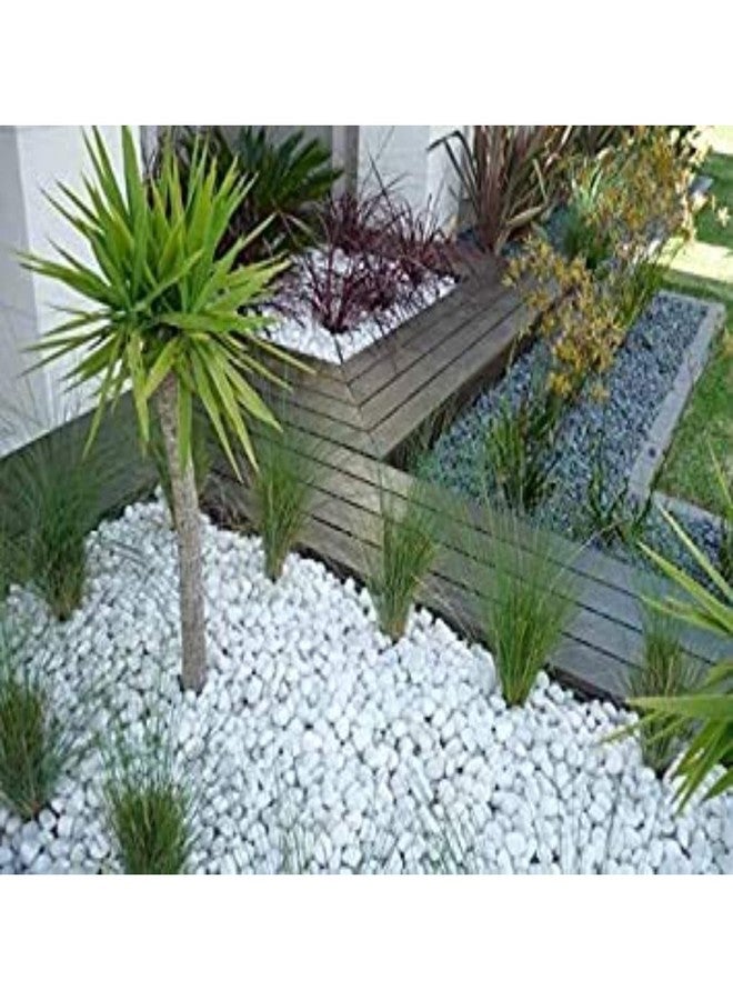 Ercole® Polished Snow White Decorative Stone Pebbles for Vase Fillers Garden & Home Decor (Polished White, 500 Grams) - Image 4