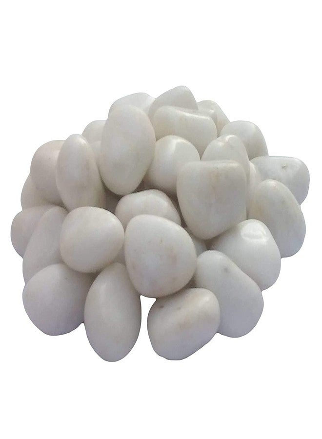 Ercole® Polished Snow White Decorative Stone Pebbles for Vase Fillers Garden & Home Decor (Polished White, 500 Grams) - Image 5