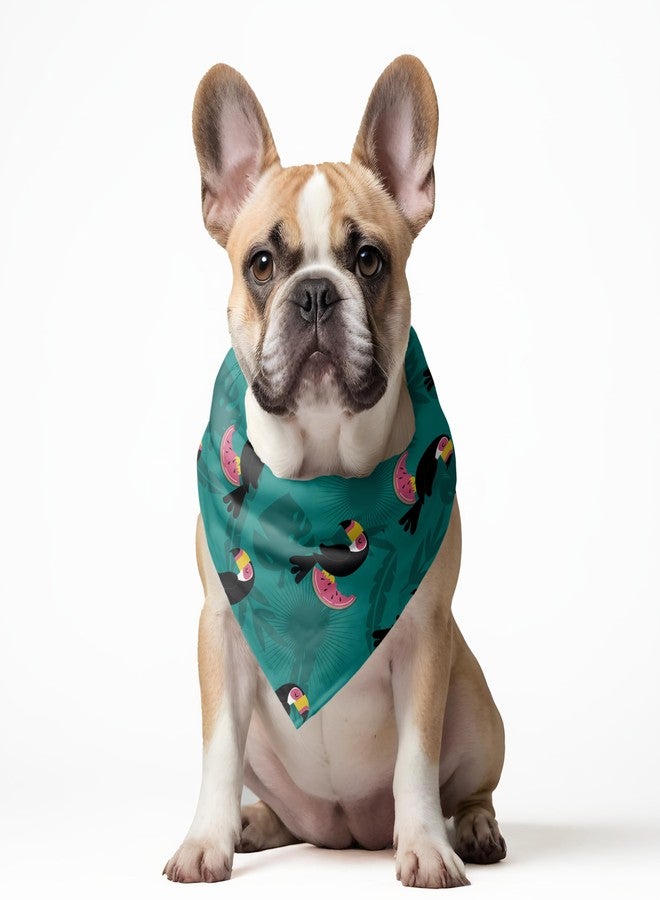 W Brings Toucans with Watermelon Dog Bandana/Scarf | This Stunning Gorgeous Design Dog Bandana Scarf is Perfect Styling Accessory for Dogs Large, Medium & Small. One Size Fits All. - Image 3