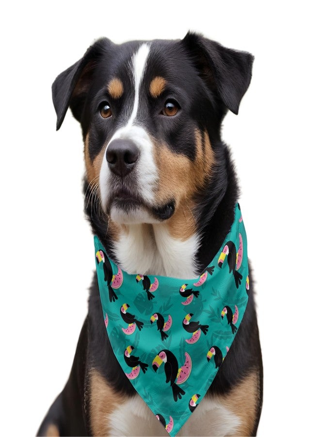 W Brings Toucans with Watermelon Dog Bandana/Scarf | This Stunning Gorgeous Design Dog Bandana Scarf is Perfect Styling Accessory for Dogs Large, Medium & Small. One Size Fits All. - Image 5