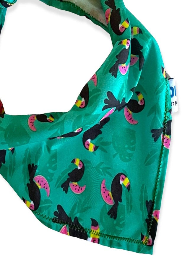 W Brings Toucans with Watermelon Dog Bandana/Scarf | This Stunning Gorgeous Design Dog Bandana Scarf is Perfect Styling Accessory for Dogs Large, Medium & Small. One Size Fits All. - Image 4