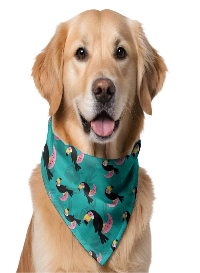 W Brings Toucans with Watermelon Dog Bandana/Scarf | This Stunning Gorgeous Design Dog Bandana Scarf is Perfect Styling Accessory for Dogs Large, Medium & Small. One Size Fits All. - Image 1