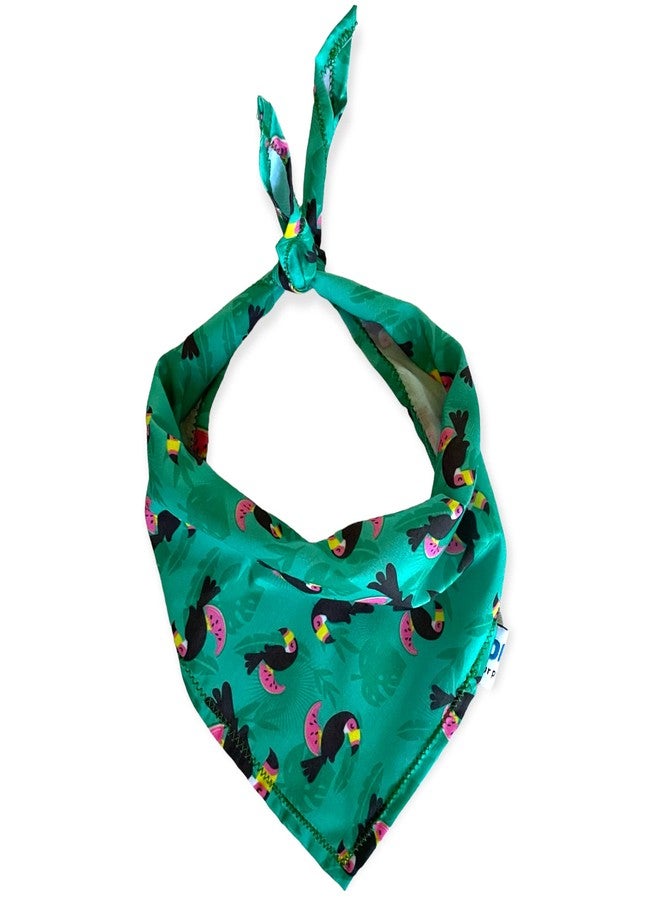 W Brings Toucans with Watermelon Dog Bandana/Scarf | This Stunning Gorgeous Design Dog Bandana Scarf is Perfect Styling Accessory for Dogs Large, Medium & Small. One Size Fits All. - Image 2