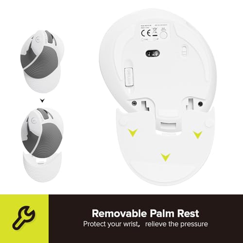 DELUX Ergonomic Vertical Mouse Wireless, Rechargeable Vertical Mouse, Bluetooth/2.4G Dual Mode, Slient Click, Removable Wrist Rest, 800/1200/1600DPI Levels, 6 Buttons, for Laptop/PC (M618G DB-White) - Image 4